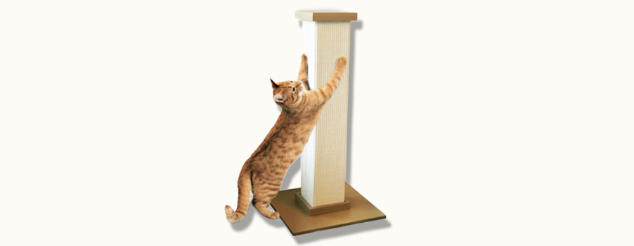 Scratching Post